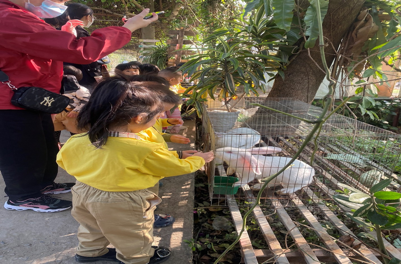 z3965798180334_f1211fcdb2c7eb6e49274c2a0f483d10