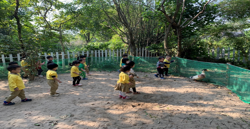 z3965765868913_87165c506ae76c6041100cab4207f17b