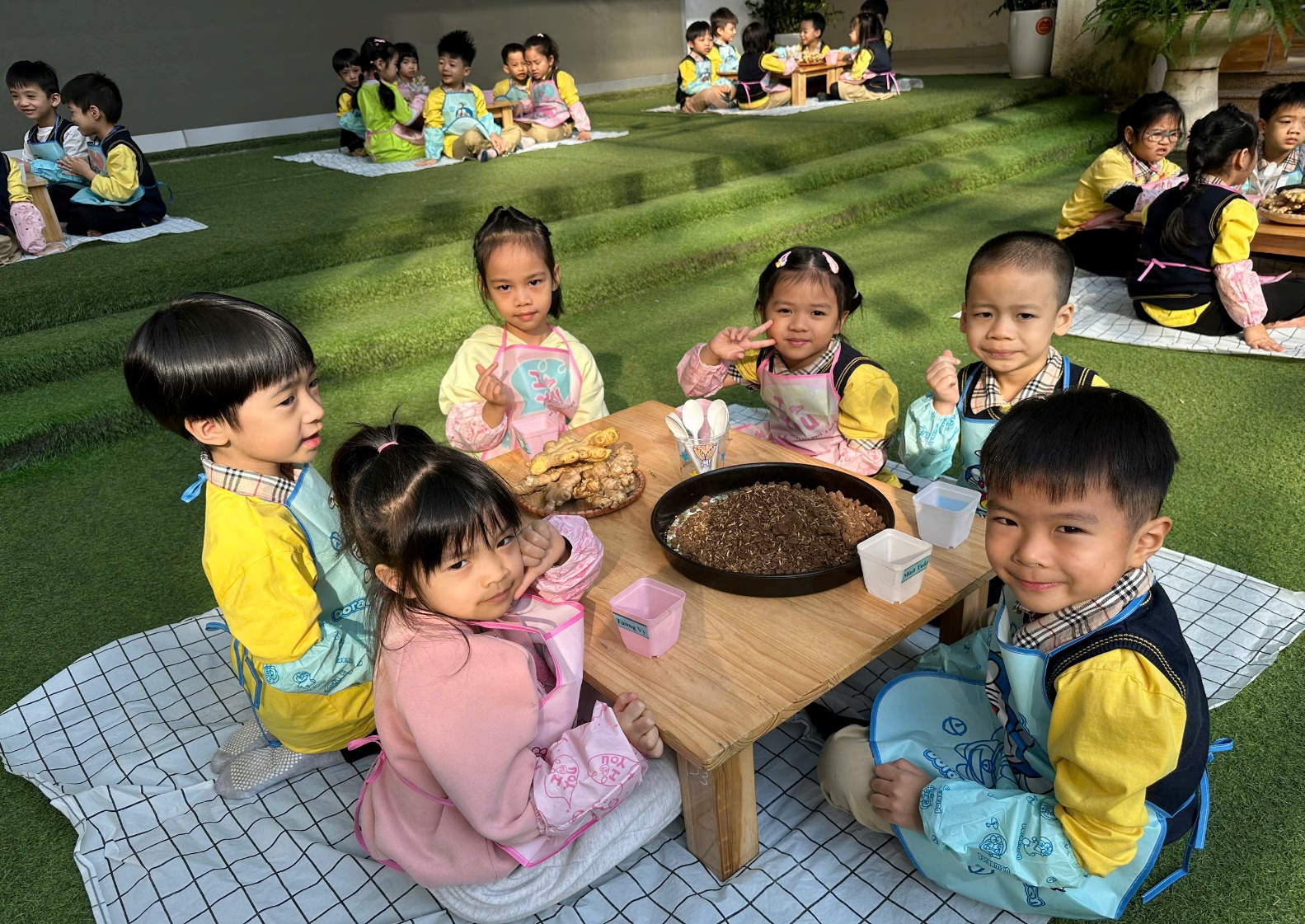 C:\Users\ADMIN\Desktop\A4. 2025-2026\Ảnh\Tháng 11\Trồng gừng\z7261732494510_19992e07fbc0301a64a247c1b0e0b804.jpg