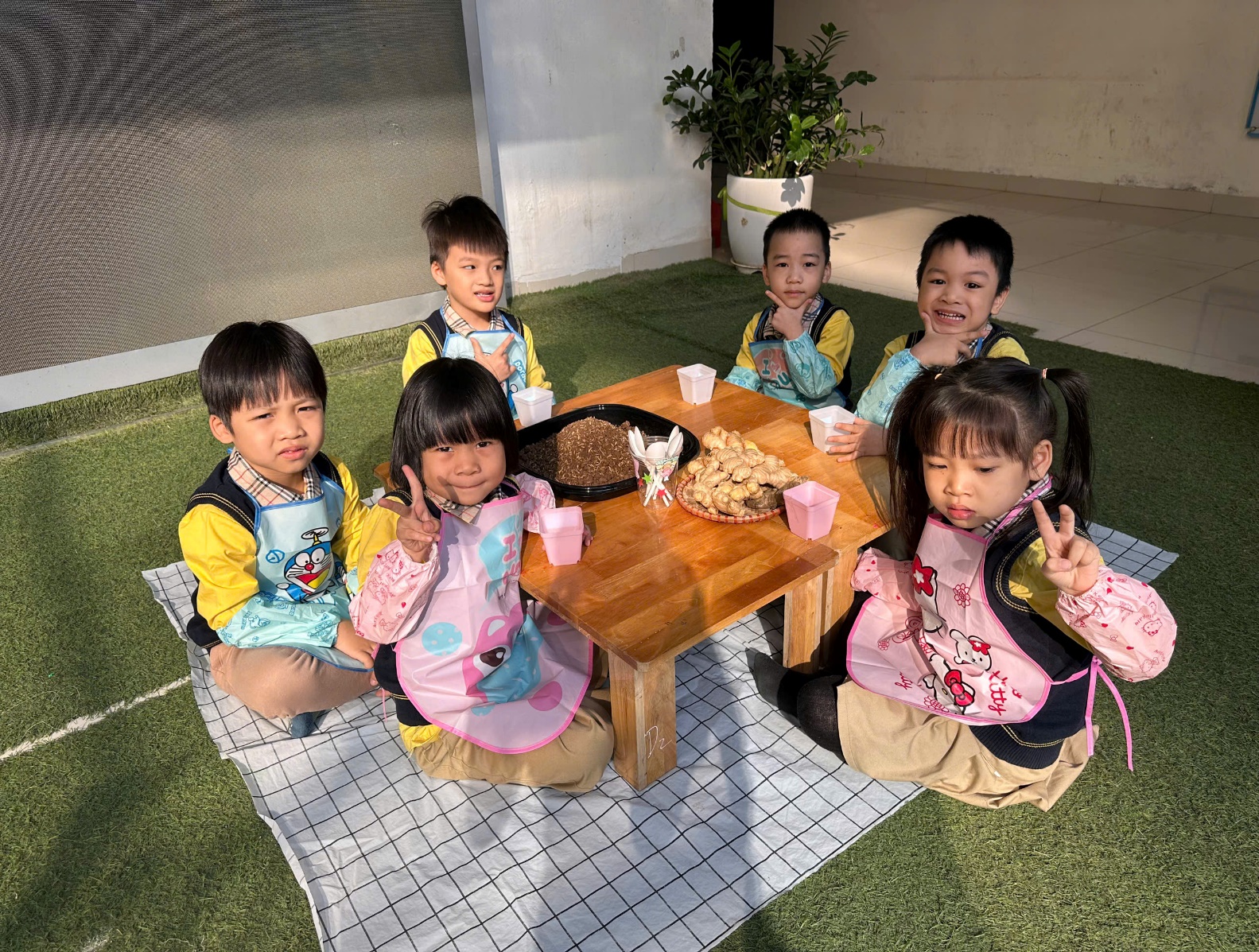 C:\Users\ADMIN\Desktop\A4. 2025-2026\Ảnh\Tháng 11\Trồng gừng\z7261732517049_a565a572d4644693af2f36560bed90a1.jpg