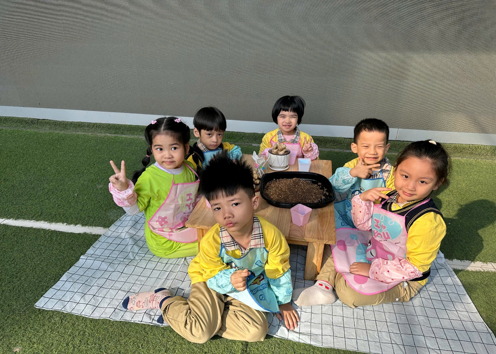 C:\Users\ADMIN\Desktop\A4. 2025-2026\Ảnh\Tháng 11\Trồng gừng\z7261732525386_10269a26ff88ce1f458d8f66ad36b5c6.jpg