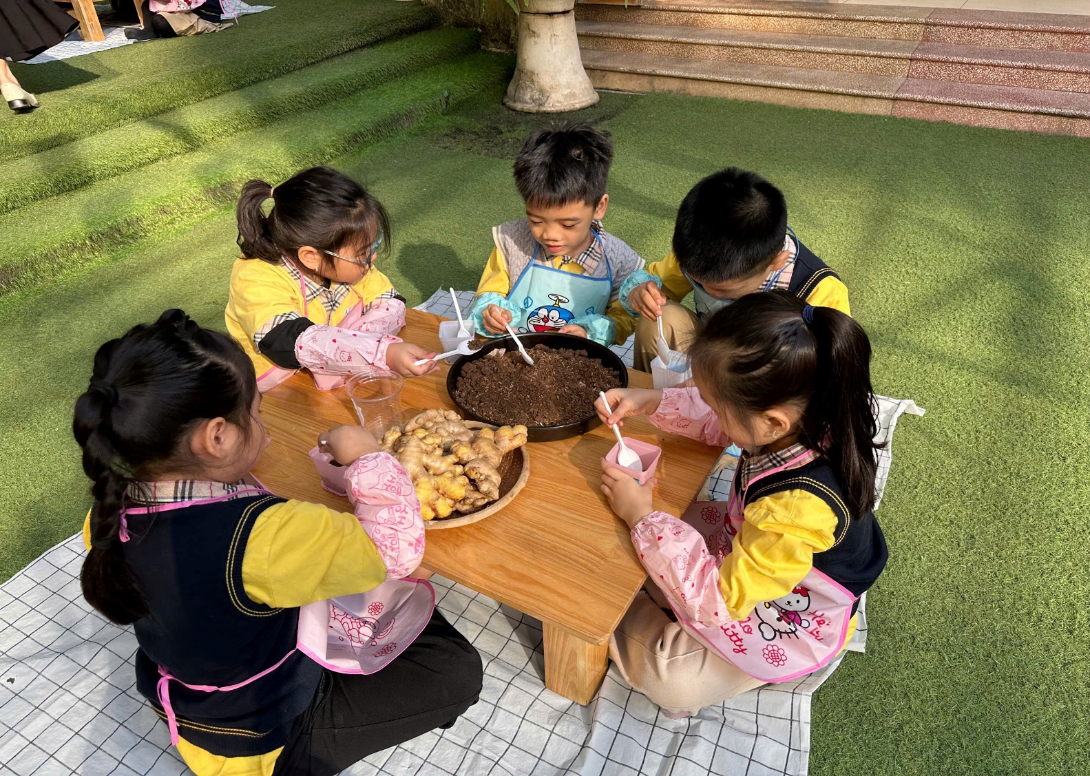 C:\Users\ADMIN\Desktop\A4. 2025-2026\Ảnh\Tháng 11\Trồng gừng\z7261732542265_74ff2d7024f408b84c2db4bc20564c2a.jpg