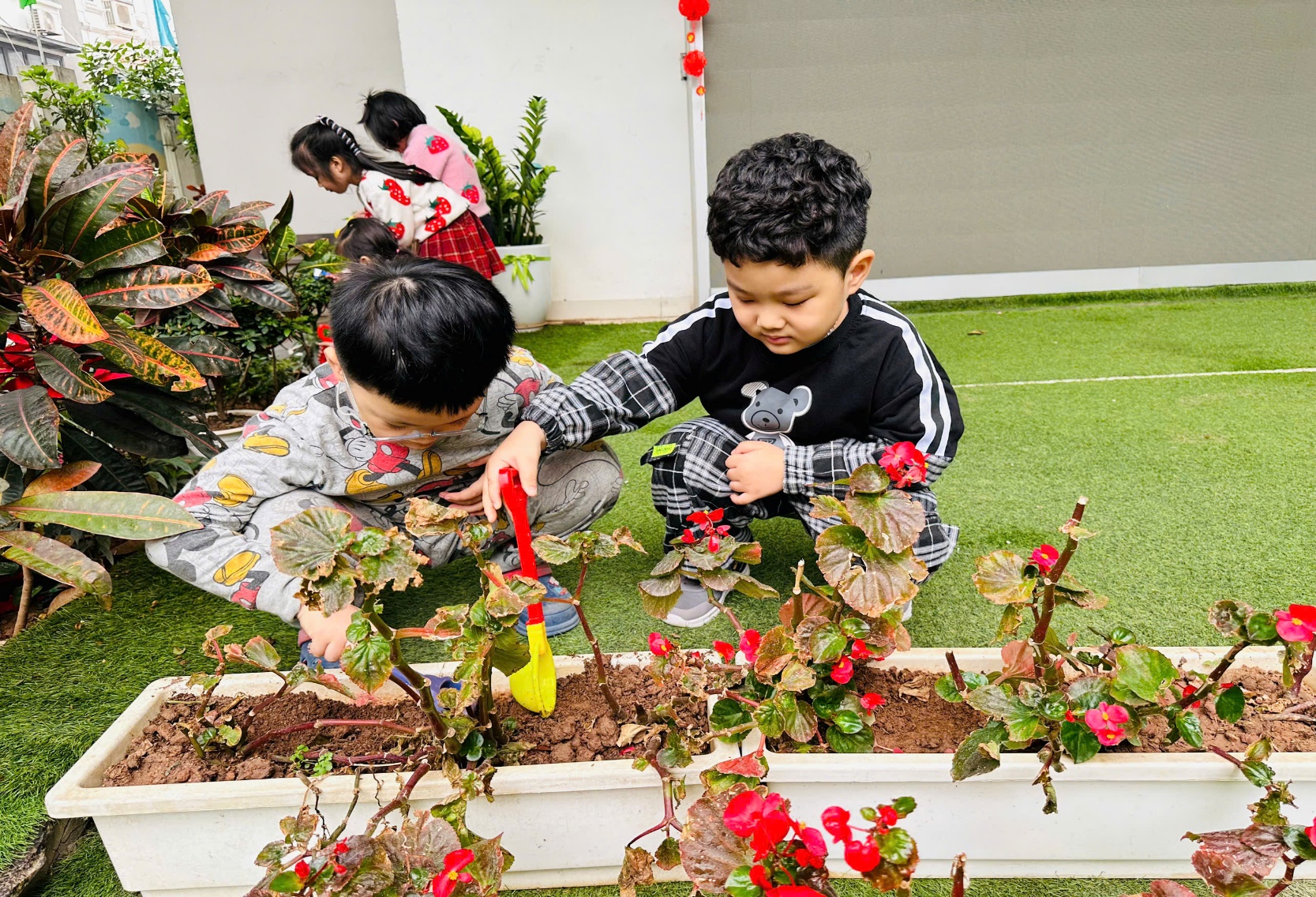 C:\Users\ADMIN\Desktop\ảnh a4. 2024-2025\Ảnh trồng cây tháng 2\z6292855482903_e3c1da14653f26edae4521d3c1b293f0.jpg