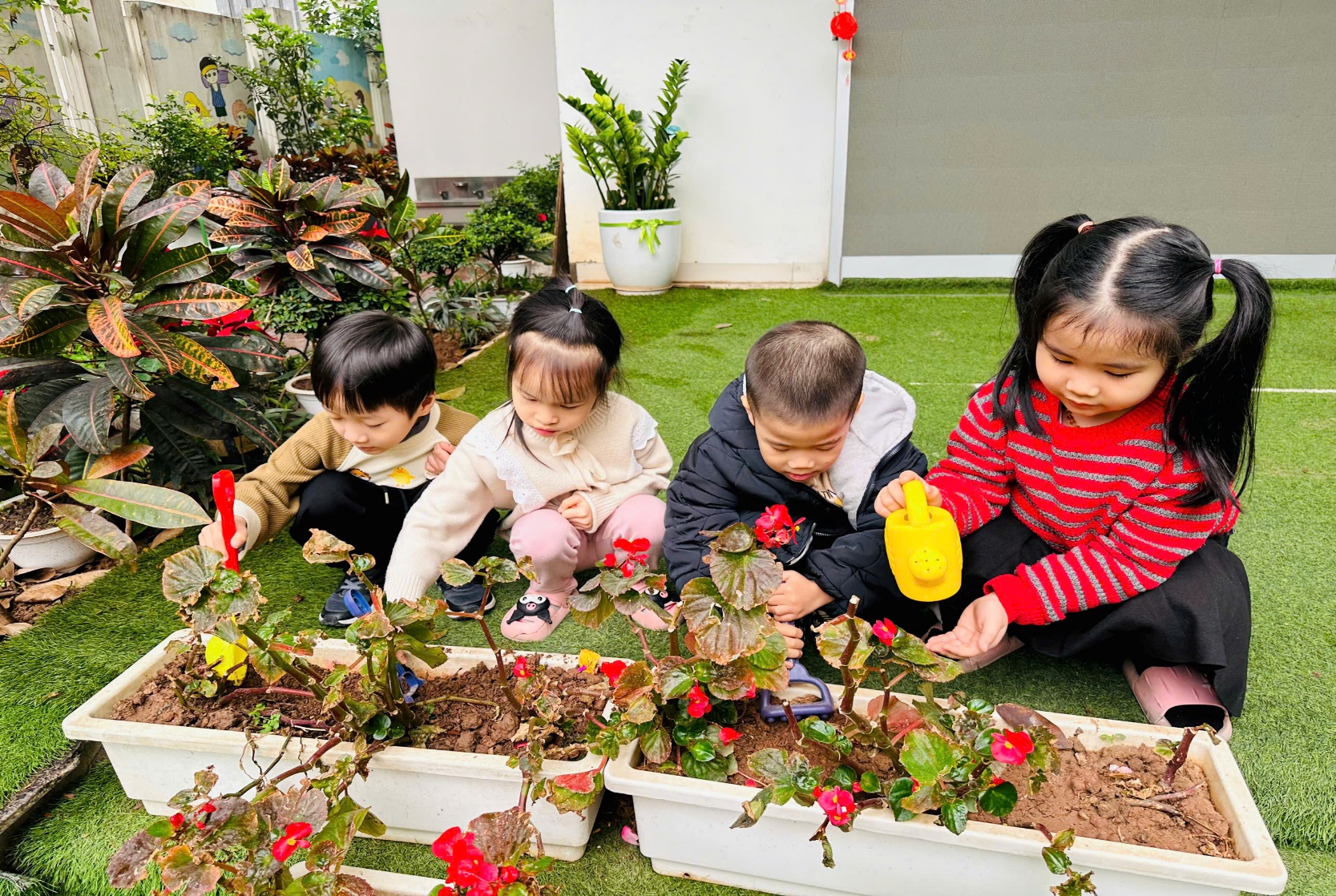 C:\Users\ADMIN\Desktop\ảnh a4. 2024-2025\Ảnh trồng cây tháng 2\z6292855476457_a7ae003fcac7c4df254636b0f717bdc4.jpg