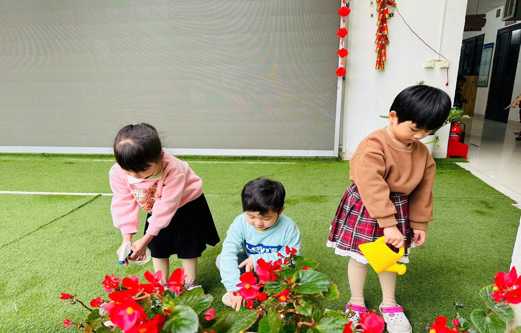 C:\Users\ADMIN\Desktop\ảnh a4. 2024-2025\Ảnh trồng cây tháng 2\z6292855469999_6c7bd584e2456362f9cb7d9c585646b8.jpg