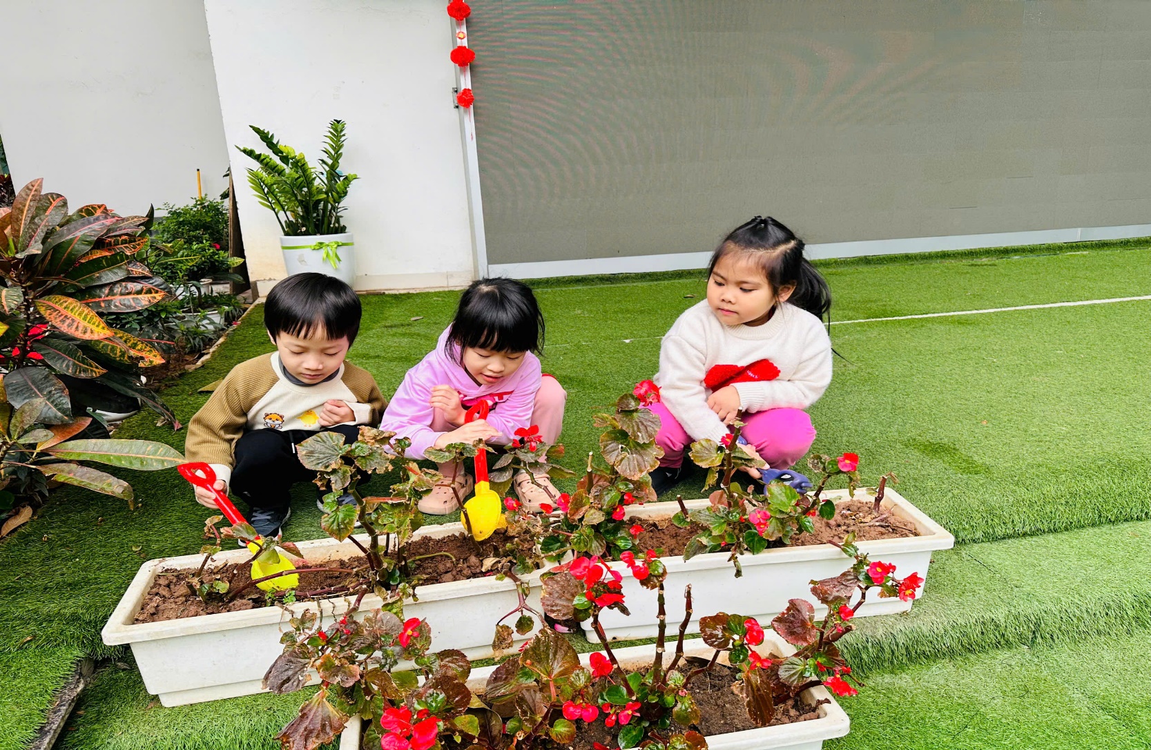 C:\Users\ADMIN\Desktop\ảnh a4. 2024-2025\Ảnh trồng cây tháng 2\z6292855466498_7fedee8097fd0b28cd1c2c356124a172.jpg