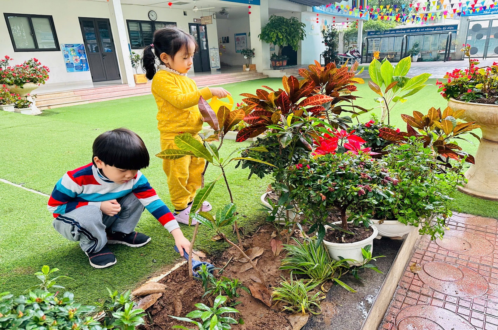 C:\Users\ADMIN\Desktop\ảnh a4. 2024-2025\Ảnh trồng cây tháng 2\z6292855460935_a7ae382cd2f13327cd7c05d2efeae77e.jpg