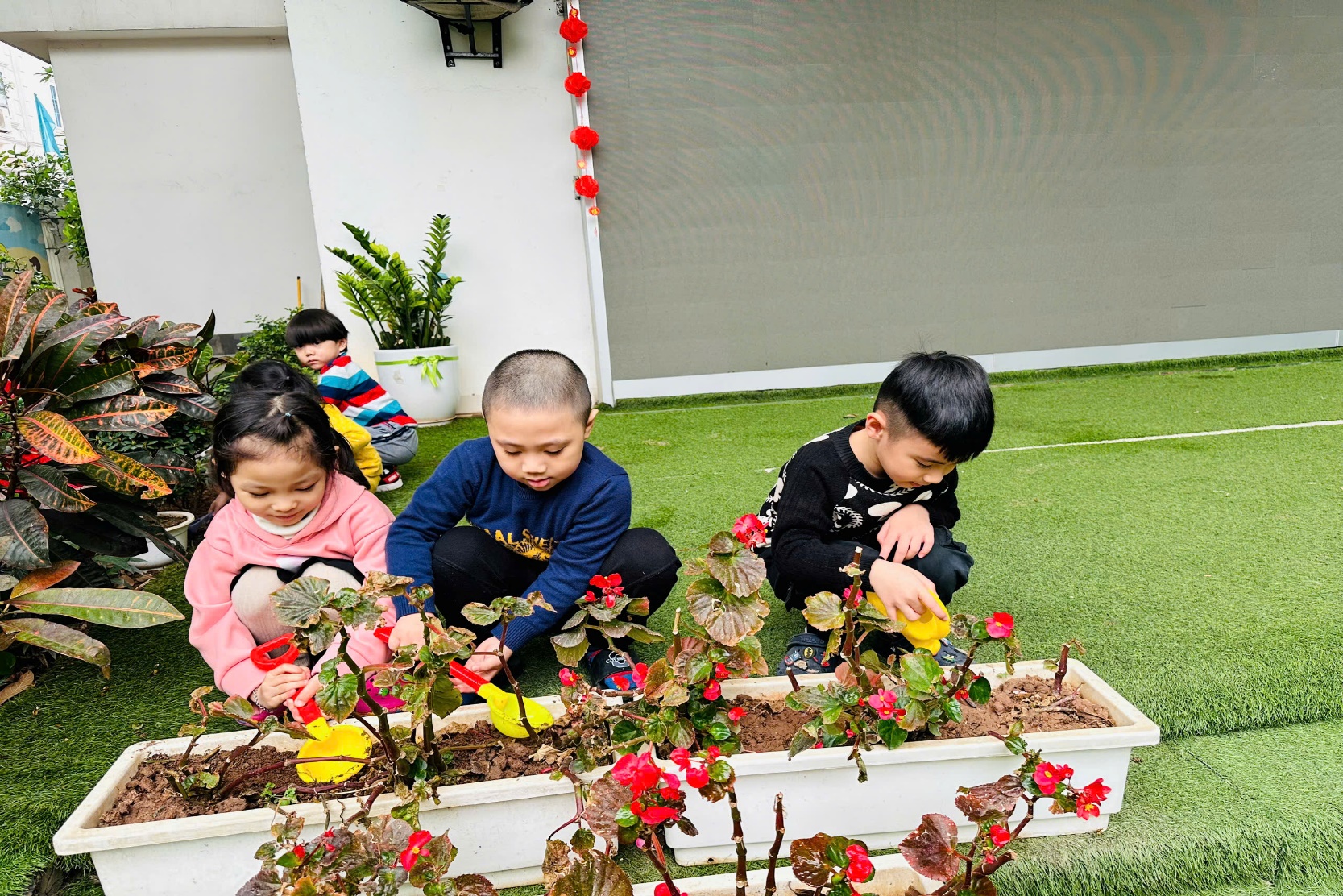 C:\Users\ADMIN\Desktop\ảnh a4. 2024-2025\Ảnh trồng cây tháng 2\z6292855453527_75112362d17b9576fe0108fd23595fab.jpg