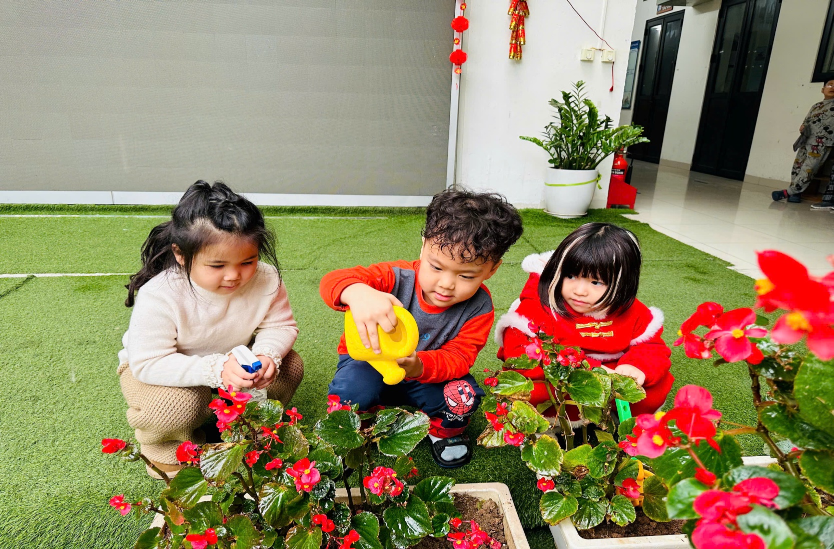 C:\Users\ADMIN\Desktop\ảnh a4. 2024-2025\Ảnh trồng cây tháng 2\z6292855449219_d2851276d1a74f69290804706f11ea55.jpg