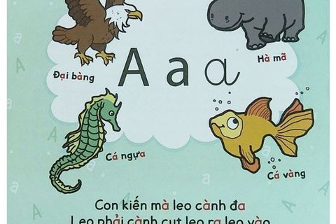 Cách dạy trẻ học chữ cái vô cùng hiệu quả