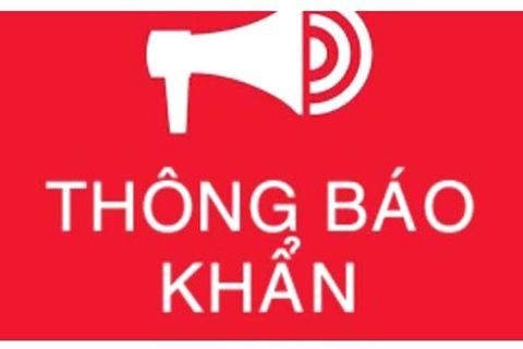 Trường mẫu giáo số 10 thông báo khẩn về việc thay đổi hình thức tuyển sinh trực tiếp bằng hình thức trực tuyến