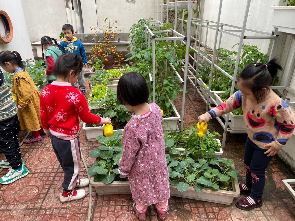 HOẠT ĐỘNG NGOÀI TRỜI: “BÉ CHĂM SÓC CÂY” CỦA LỚP B1