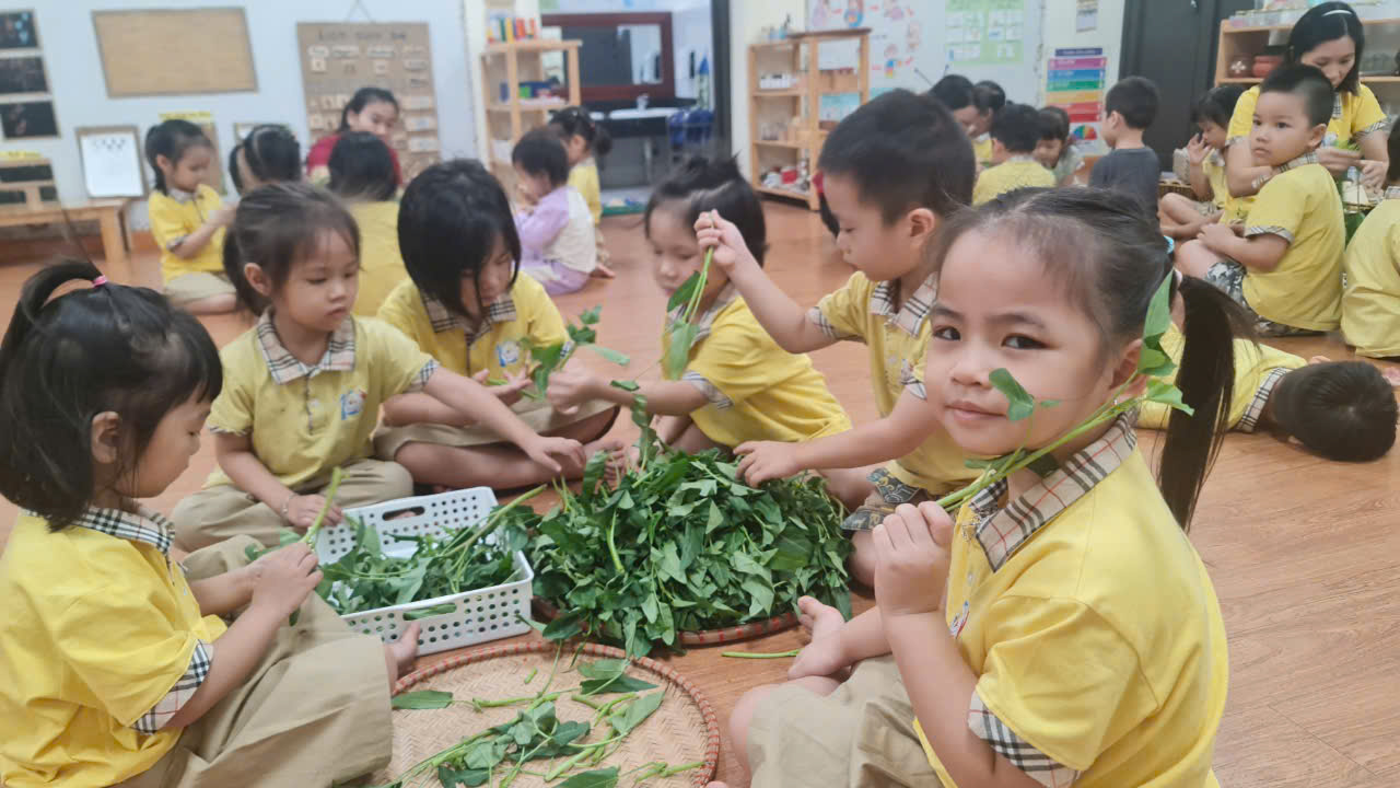Hoạt động trải nghiệm "Nhặt rau muống" của các bé lớp MGN – B3