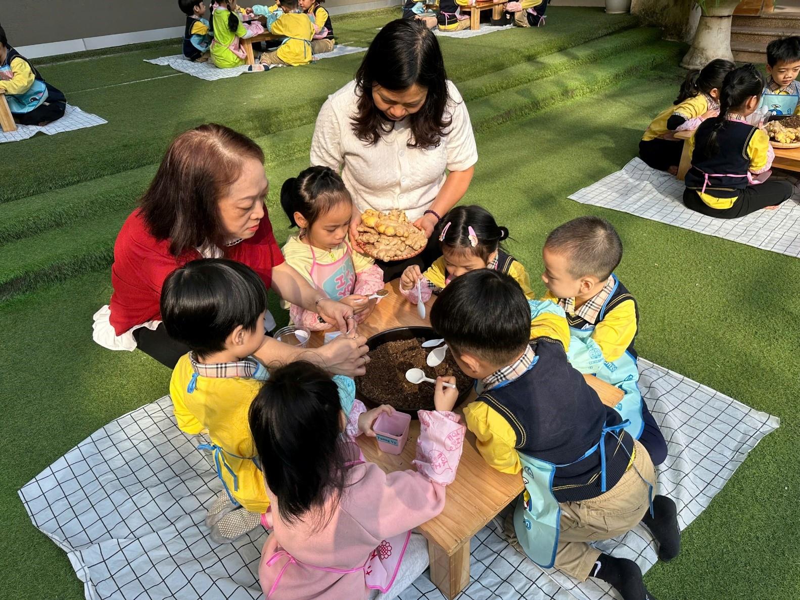 Hoạt động trải nghiệm “Bé trồng gừng” cùng các bé lớp Mẫu giáo lớn A4!