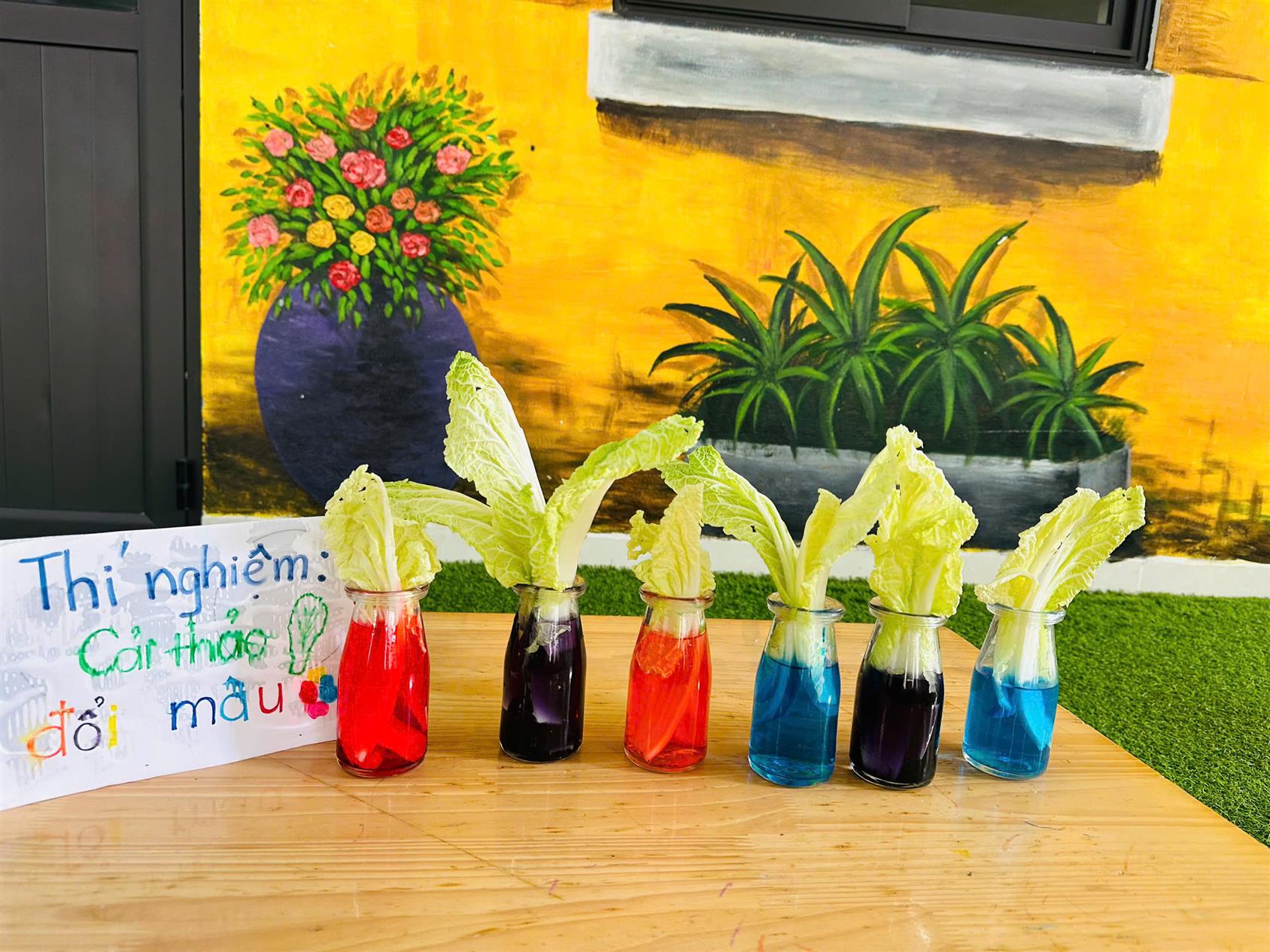 Các bé lớp B4 hào hứng khám phá thí nghiệm “Cải thảo đổi màu”
