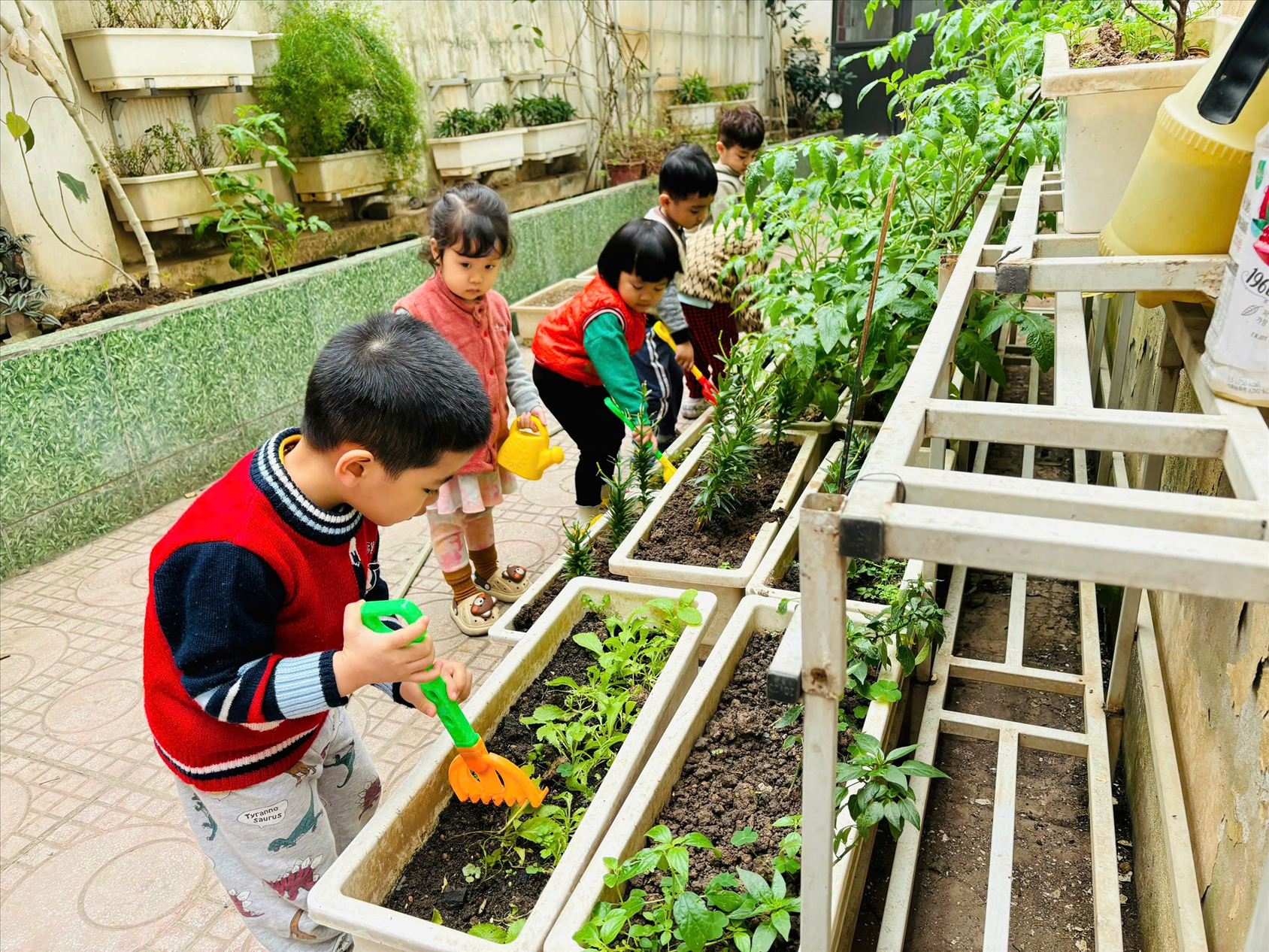 Lớp Mẫu giáo bé C2 tham gia hoạt động trải nghiệm "Tết trồng cây" tại trường Mẫu giáo Số 10