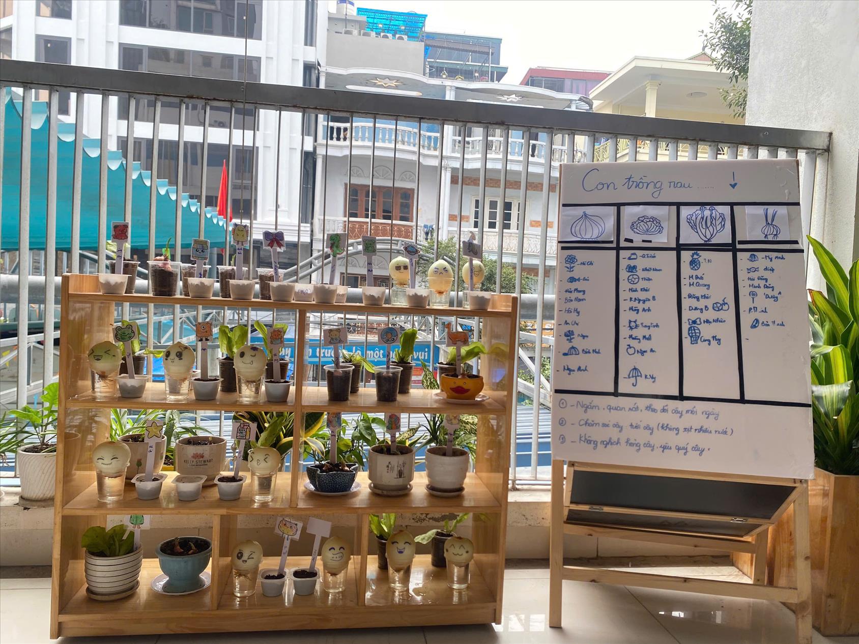 Các bé lớp Mẫu giáo nhỡ B1 thực hiện Dự án "Bé yêu cây xanh"