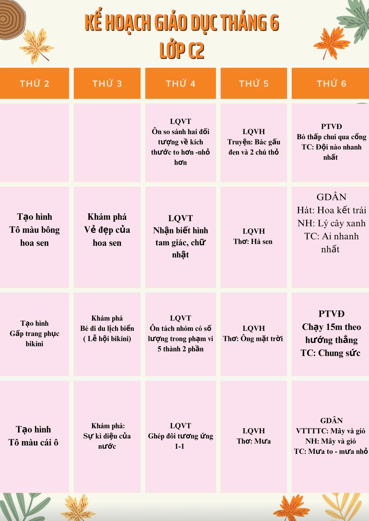 Kế hoạch giáo dục tháng 6/2025  lớp C2