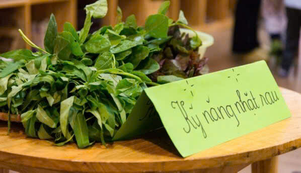 Hoạt động trải nghiệm "Nhặt rau muống" của các bạn nhỏ lớp MGB C1