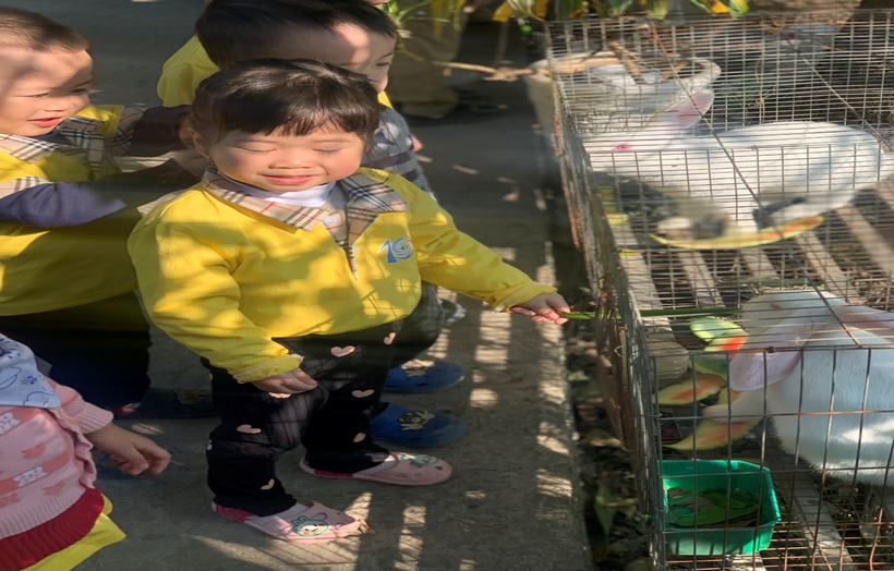 z3965796621824_81c2befd16cb380b24eb52893e2b394a