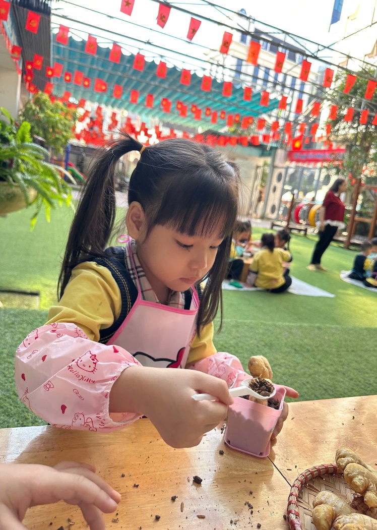 C:\Users\ADMIN\Desktop\A4. 2025-2026\Ảnh\Tháng 11\Trồng gừng\z7261738258503_db7ee68ba85ce86dd6f4ea80752f187b.jpg