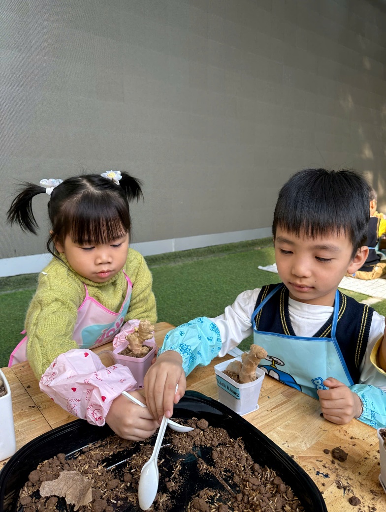 C:\Users\ADMIN\Desktop\A4. 2025-2026\Ảnh\Tháng 11\Trồng gừng\z7261738181689_4649670efe7b8f07d809b515c5bce5e9.jpg