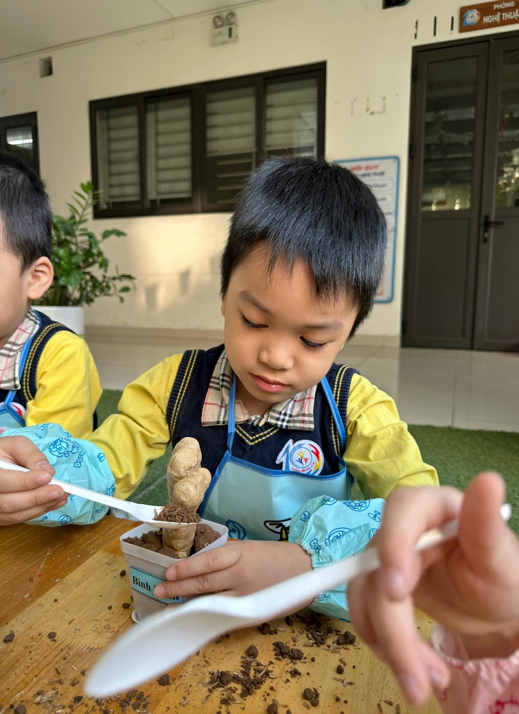 C:\Users\ADMIN\Desktop\A4. 2025-2026\Ảnh\Tháng 11\Trồng gừng\z7261738247246_321eff854fb54162302f9948d596ecb8.jpg