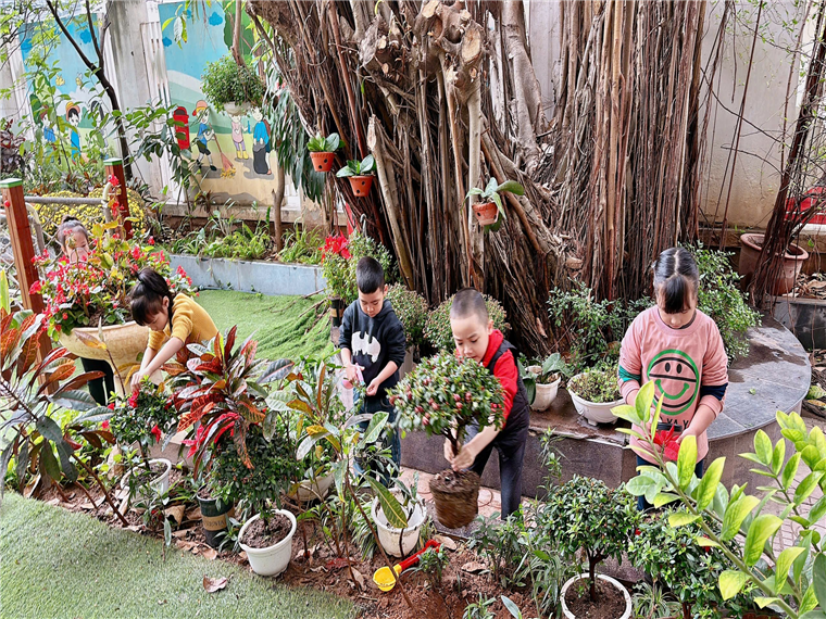 Ảnh có chứa ngoài trời, trang phục, thực vật, vườn

Mô tả được tạo tự động