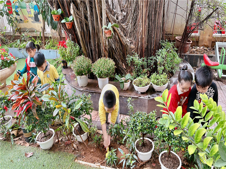 Ảnh có chứa ngoài trời, vườn, cây cối, chậu hoa

Mô tả được tạo tự động