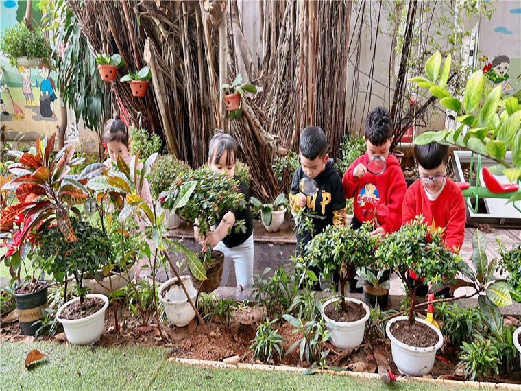 Ảnh có chứa chậu hoa, cây trồng trong nhà, ngoài trời, Vườn bách thảo

Mô tả được tạo tự động
